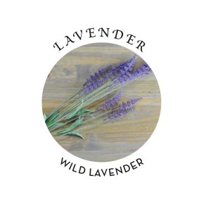 RELAXING MASSAGE & BODY OIL LAVENDER 2 OZ