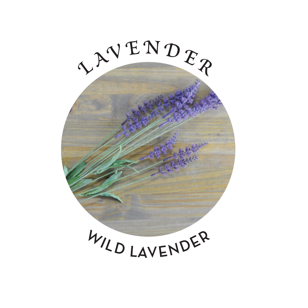 RELAXING MASSAGE & BODY OIL LAVENDER 2 OZ